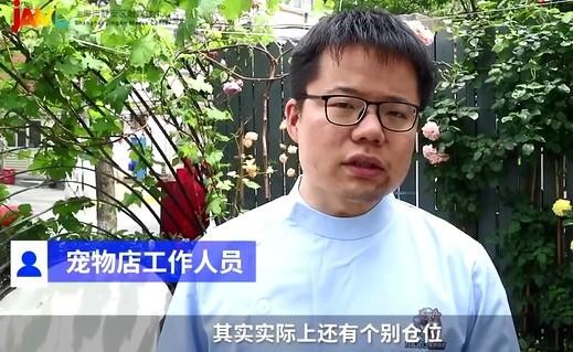 上海人很舍得为它们花钱！五一假期宠物寄养一晚要价三四百…网友：比人住酒店都贵...