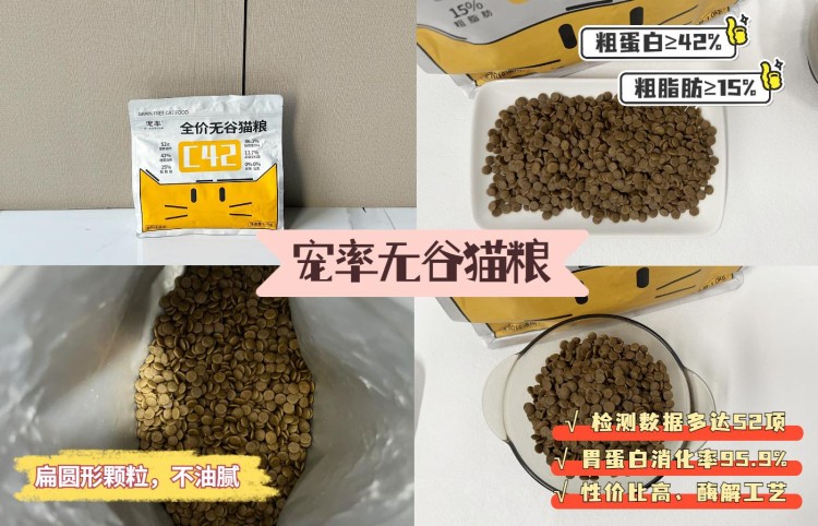 这6个喂食雷区轻则对猫咪不利重则危及健康！